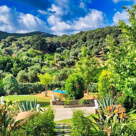 Luxury 3-bedroom villa with private pool, sauna, gym&unique gardens Skinés Extérieur photo